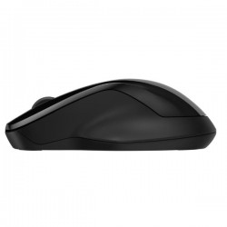 HP CONSUMER. HP 250 DUAL MODE WIRELESS MOUSE