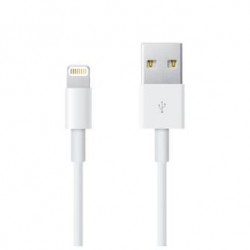 APPLE &poundLIGHTNING TO USB CABLE (0.5 M)