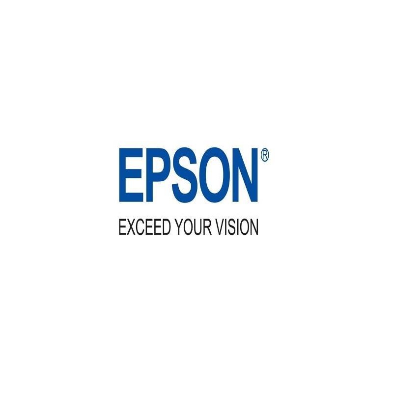 Epson Rips Consumabili MAINTENANCE BOX WORKFORCE WF-C869R