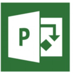 MICROSOFT CSP PROJECT ONLINE ESSENTIALS FOR FAC