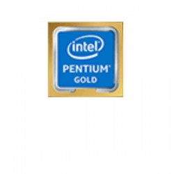 INTEL INTEL CPU PENTIUM G6600  BOX