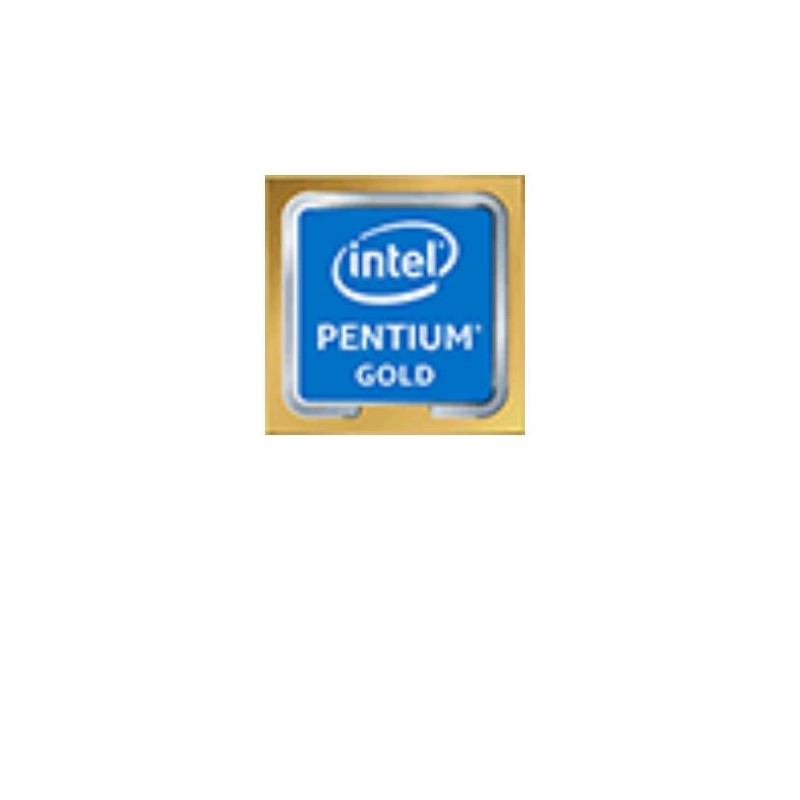 INTEL INTEL CPU PENTIUM G6600  BOX