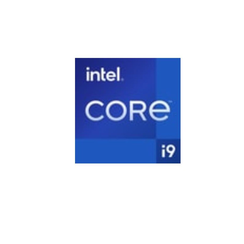 INTEL INTEL CPU CORE I9-12900KF BOX